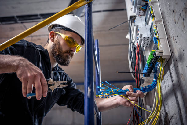 Best Electric Panel Repair  in Lockport, NY