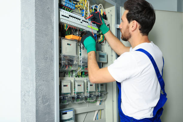 Best Electric Panel Repair  in Lockport, NY